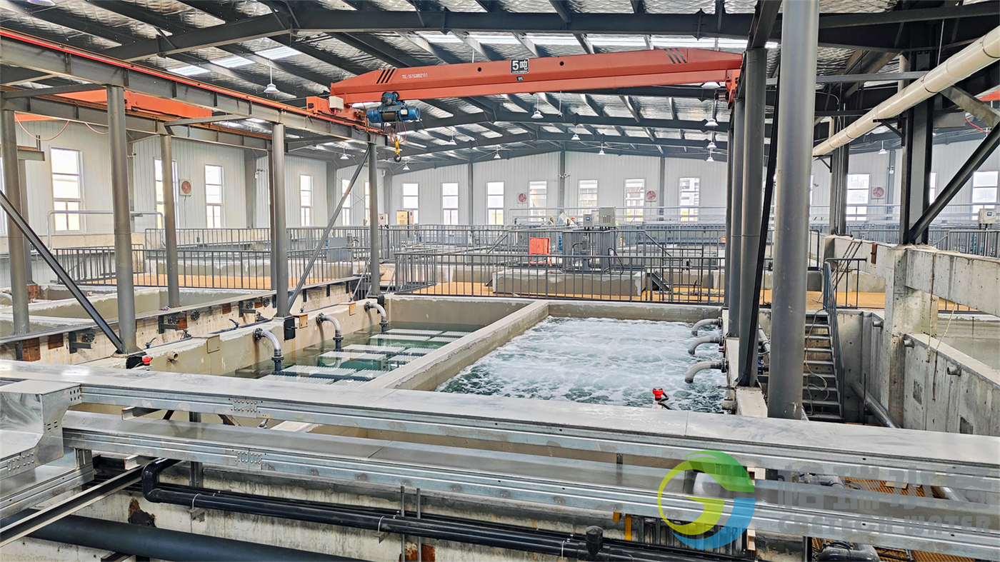 IMG20241129150508 IMG20241129150508